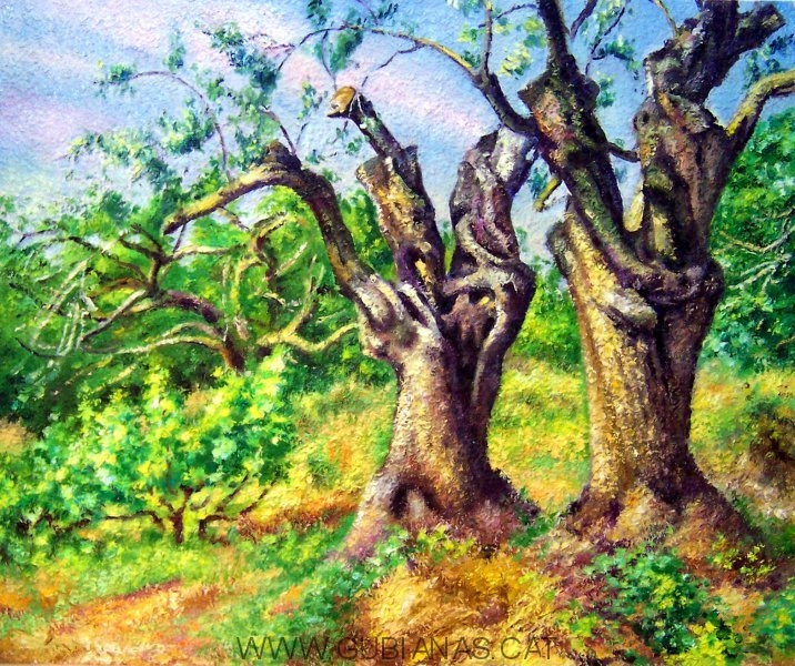 Arbre Ãrbol Tree TrÃ¦ Boom Puu Baum Î´Î­Î½Ï„ÏÎ¿ Albero æœ¨ Drzewo TrÃ¤d. 8 Oliveretes. Viladecans. Barcelona. Catalonia. Spain. oli. tela .jpg